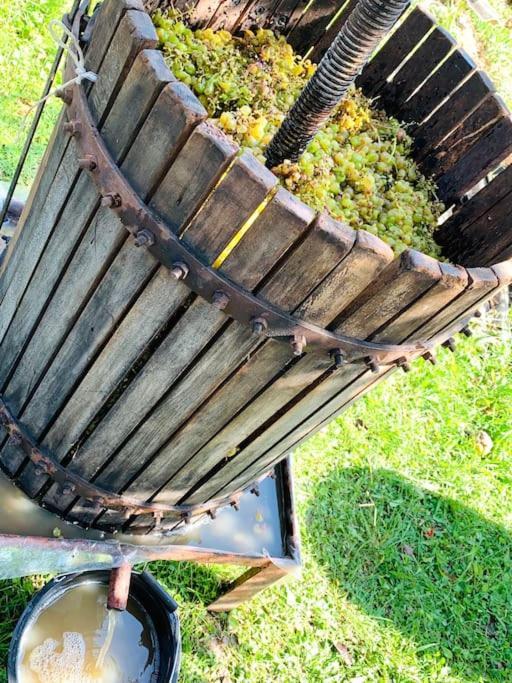 La-Marti, Idyllische Unterkunft Mit Kamin Bagdati Kültér fotó